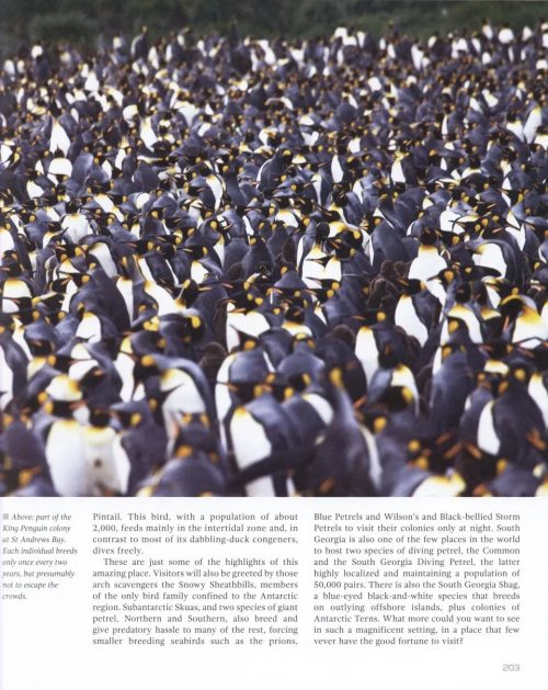 Top 100 Birding Sites of the World - Image 4