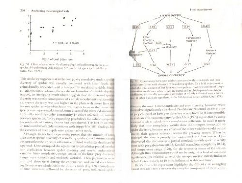 Spiders in Ecological Webs - Image 2