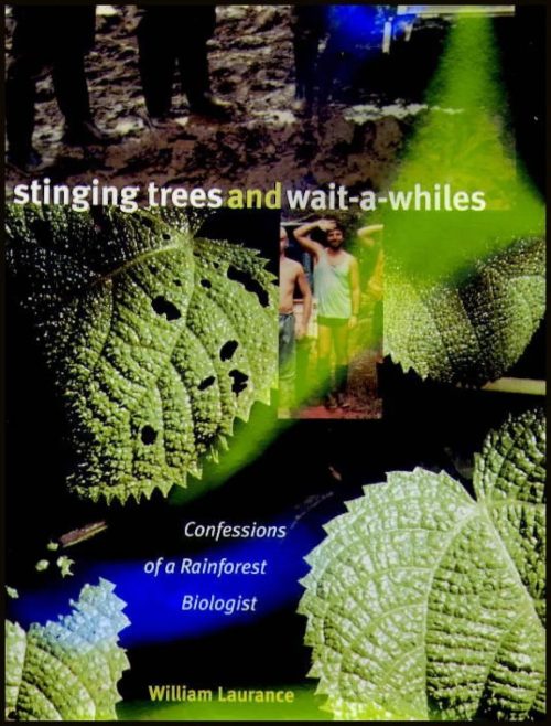 Stinging Trees and Wait-a-Whiles: Confessions of a Rainforest Biologist