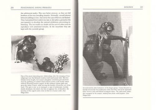 Peacemaking Among Primates - Image 2
