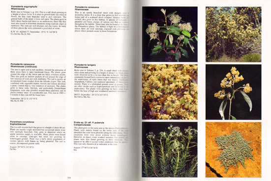 Native Plants of Queensland, Volume Four - Image 2