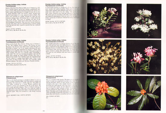 Native Plants of Queensland, Volume Four - Image 3