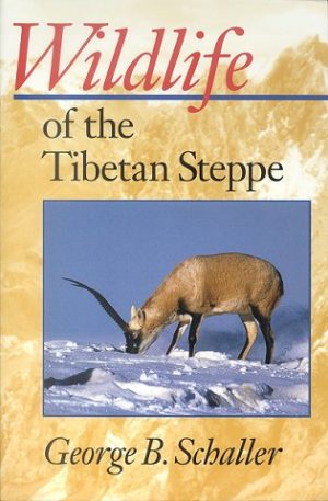 Wildlife of the Tibetan Steppe