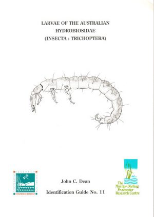 Larvae of Australian Hydrobiosidae (Insecta: Trichoptera)