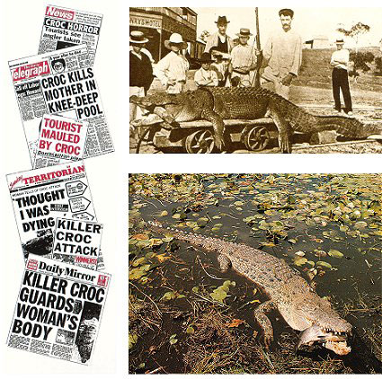Australian Crocodiles: A Natural History - Image 2