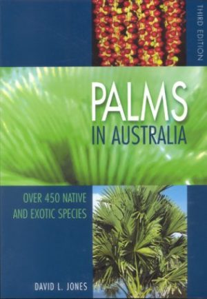 Palms in Australia.