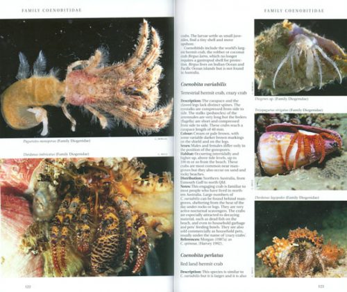 A Field Guide to Crustaceans of Australian Waters (Second Edition) - Image 2