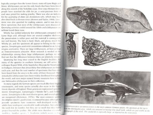 Dinosaurs, Spitfires and Sea Dragons - Image 2