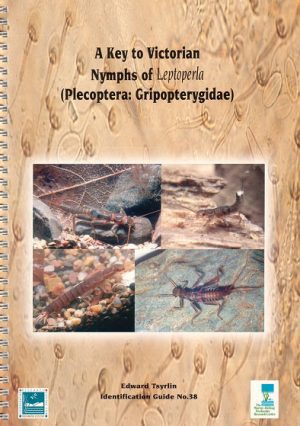 A Key to Victorian Nymphs of Leptoperla (Plecoptera: Gripopterygidae)
