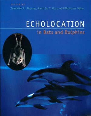 Echolocation in Bats and Dolphins