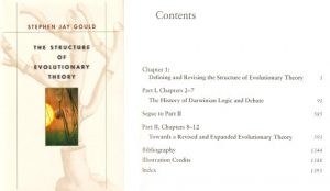 The structure of evolutionary theory.