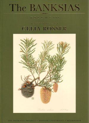 The Banksias Volume III: Watercolours by Celia Rosser