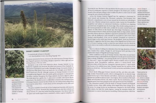Wild Dunedin: The Natural History of New Zealand's Wildlife Capital - Image 6