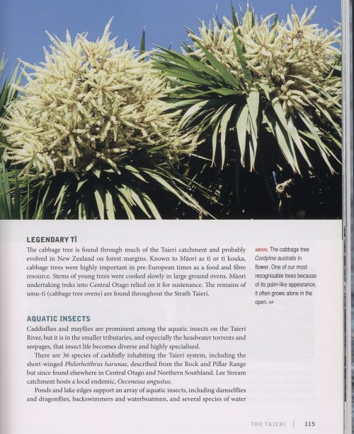 Wild Dunedin: The Natural History of New Zealand's Wildlife Capital - Image 5
