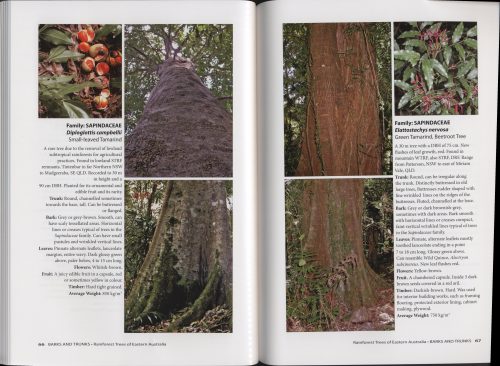 Barks and Trunks: Rainforest Trees of Eastern Australia, Volume Two - Image 4