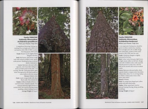 Barks and Trunks: Rainforest Trees of Eastern Australia, Volume Two - Image 3
