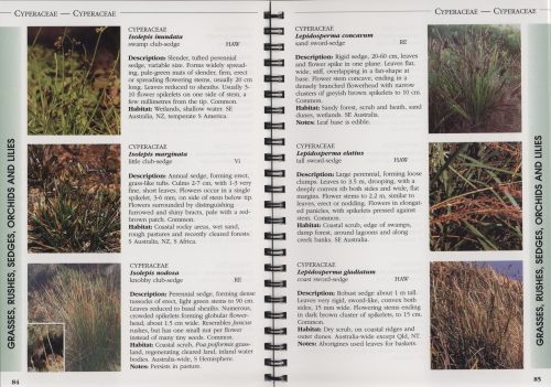 King Island Flora: A Field Guide - Image 2