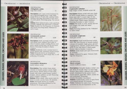 King Island Flora: A Field Guide - Image 3