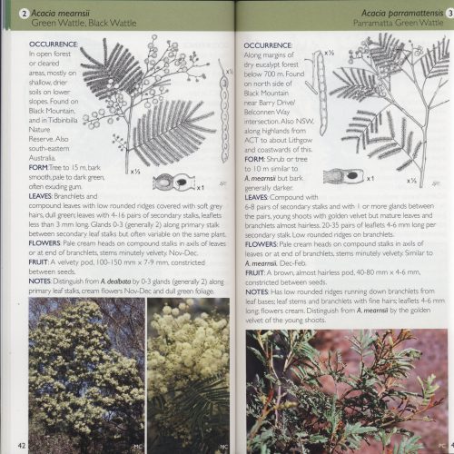 Field Guide to the Native Trees of the ACT (Third Edition) - Image 2