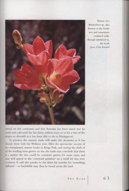The Old Country: Australian Landscapes, Plants and People - Image 2