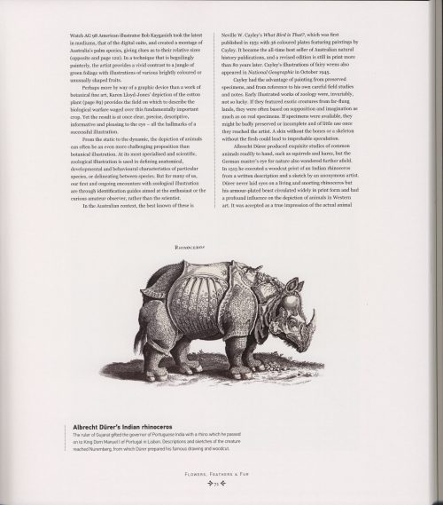 The Art of Australian Geographic Illustration - Image 5
