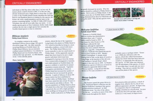 Norfolk Island's Fascinating Flora (Second Edition) - Image 3