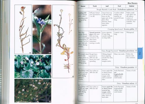 Woodland to Weeds: Southern Queensland Brigalow Belt (Second Edition) - Image 3