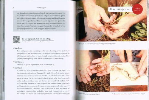 Let's Propagate: A Plant Propagation Manual for Australia - Image 4
