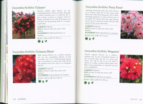 500 Plants: Great Australian Favourites for your Garden - Image 4