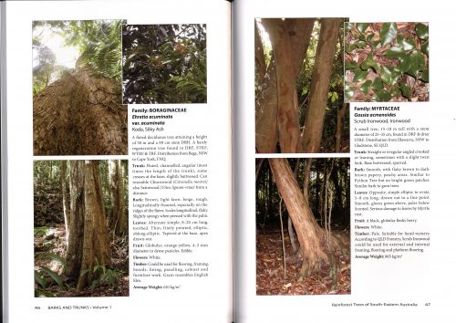 Barks and Trunks, Rainforest Trees of South-Eastern Australia, Volume One (Second Edition) - Image 3