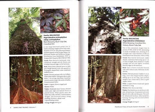Barks and Trunks, Rainforest Trees of South-Eastern Australia, Volume One (Second Edition) - Image 2