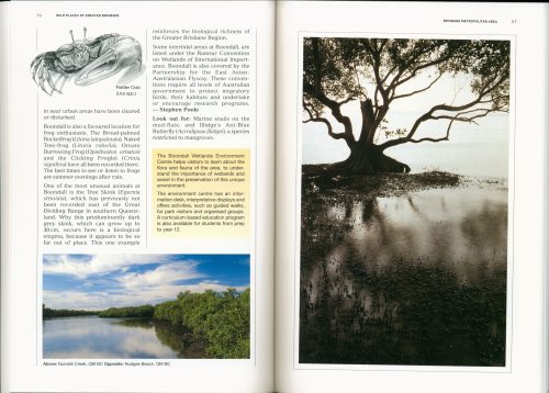 Wild Places of Greater Brisbane - Image 3