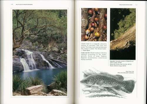 Wild Places of Greater Brisbane - Image 4