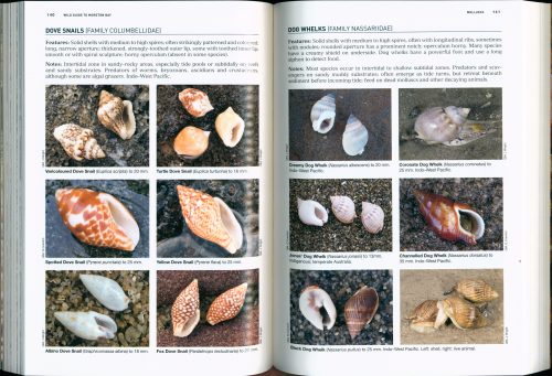 Wild Guide to Moreton Bay and Adjacent Coasts - Image 2