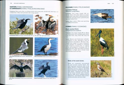 Wild Guide to Moreton Bay and Adjacent Coasts - Image 3