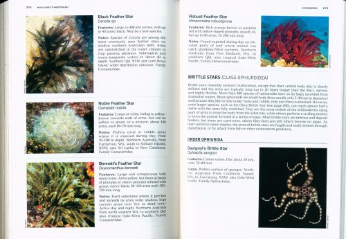Wild Guide to Moreton Bay and Adjacent Coasts - Image 4