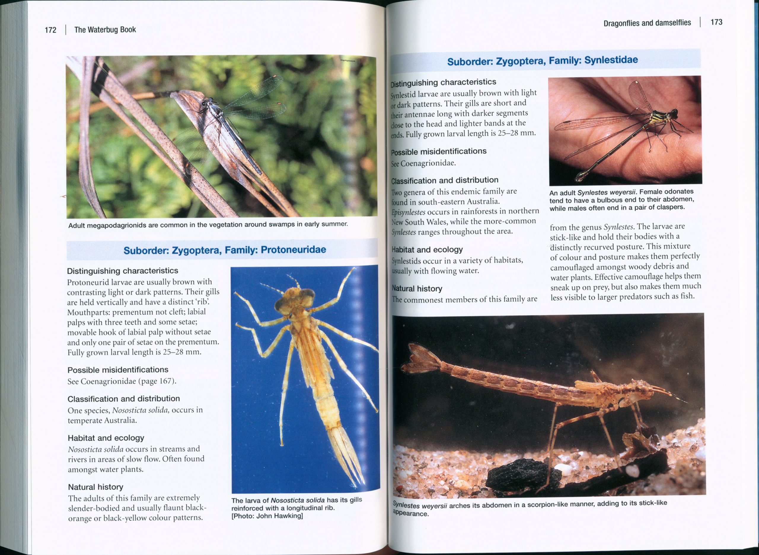 The Waterbug Book: A Guide to Freshwater Macroinvertebrates of Temperate Australia - Image 4