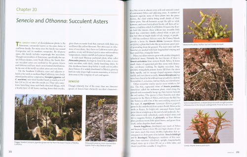 Timber Press Guide to Succulent Plants of the World: A Comprehensive Reference to More than 2000 Species. - Image 4