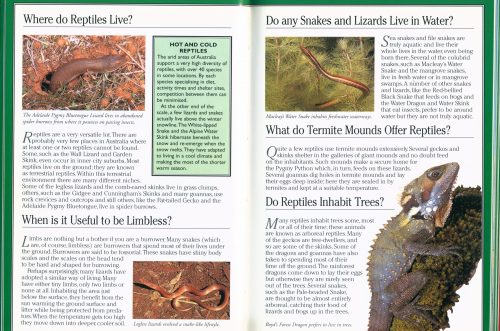 Green Guide to Snakes and Other Reptiles of Australia - Image 2