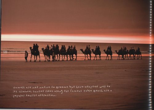 The Pearls of Broome - Image 2