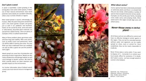 Growing Outback Gardens: Ideas for Waterwise Gardening - Image 4