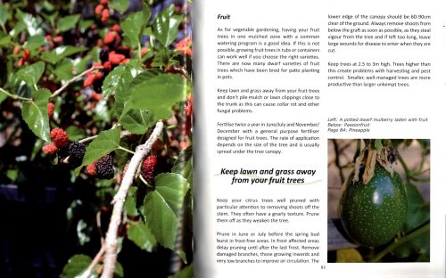 Growing Outback Gardens: Ideas for Waterwise Gardening - Image 3