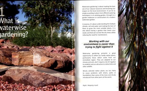 Growing Outback Gardens: Ideas for Waterwise Gardening - Image 2