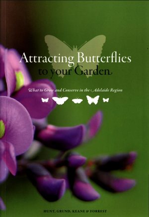 Attracting Butterflies to Your Garden: What to Grow and Conserve in the Adelaide Region
