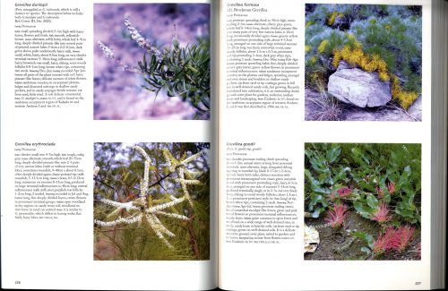 Native Plants of Northern Australia - Image 2