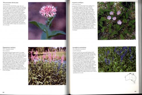 Native Plants of Northern Australia - Image 4