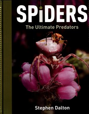 Spiders: The Ultimate Predators