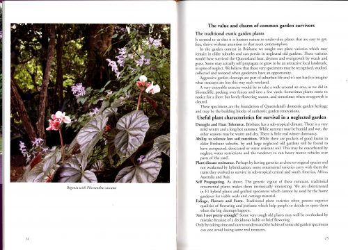 Over the Fence and Overlooked: Traditional Plants in Queensland's Gardening Heritage - Image 3