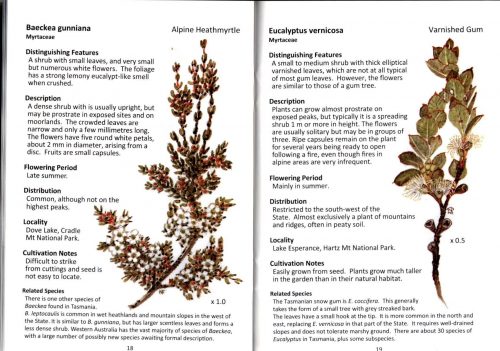 Alpine Wildflowers of Tasmania: Plant Identikit (Second Edition) - Image 3