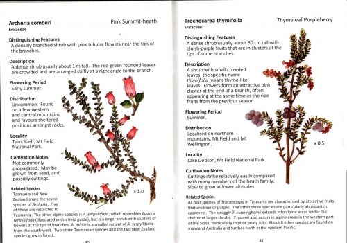 Alpine Wildflowers of Tasmania: Plant Identikit (Second Edition) - Image 4